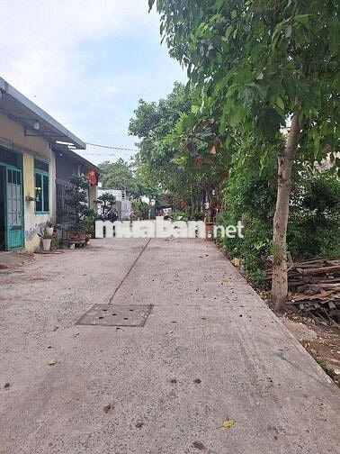 Bán đất Ấp 1, Vĩnh Lộc A, TpHCM