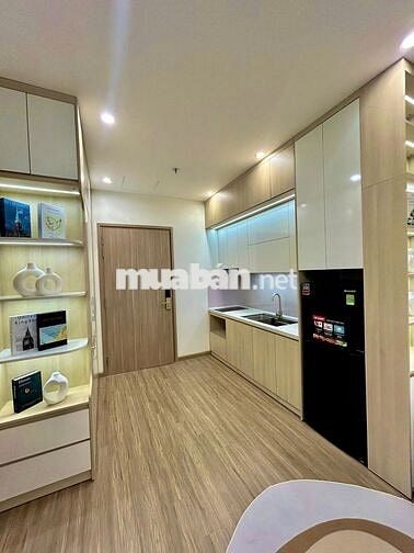 Bán gấp căn S302 1617: DT 25,5m, 2 tỷ 250, gần nhà xe ở Vin Smart City