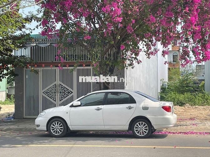 Toyota Corolla Altis Trắng 5 chỗ