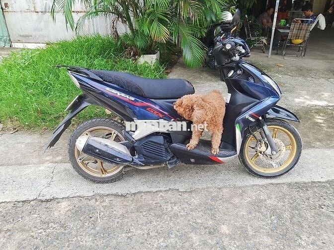 Yamaha Luvias GTX Xanh đen