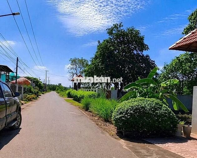 cần bán nhà vườn nghỉ dưỡng 300m2 trung tâm Trảng bàng