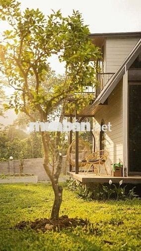 cần bán nhà vườn nghỉ dưỡng 300m2 trung tâm Trảng bàng