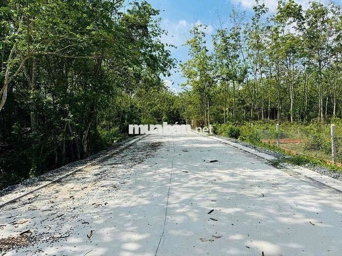 🔥 HÀNG HIẾM CỦ CHI – 1.600m² ĐẤT NHÀ VƯỜN GIÁ CHỈ 3,1 TỶ, CƠ HỘI ĐẦ