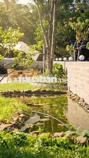 cần bán nhà vườn nghỉ dưỡng 300m2 trung tâm Trảng bàng