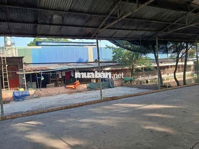 Cho Thuê Nhà Vườn 1500m2 - (Có Điện 3Fa -Xưởng)- Trảng Dài - Giá: 20tr