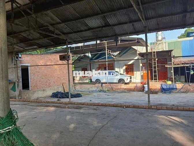 Cho Thuê Nhà Vườn 1500m2 - (Có Điện 3Fa -Xưởng)- Trảng Dài - Giá: 20tr