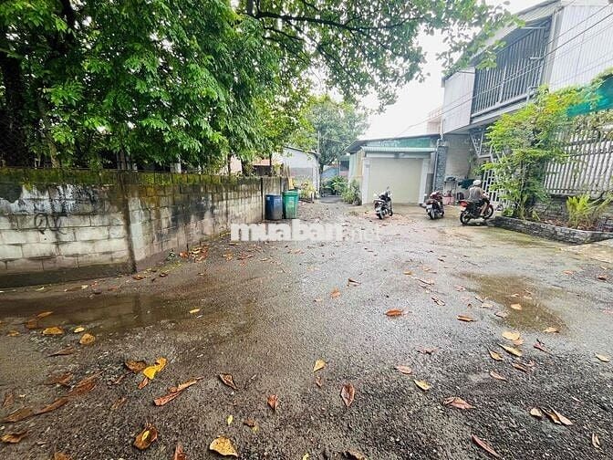 DT 157m2 Tc 100% ngay ngã ba Cây Điệp
