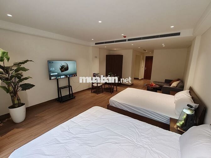 CHO THUÊ STUDIO CAO CẤP NGẮN HẠN & DÀI HẠN – BA ĐÌNH, HÀ NỘI