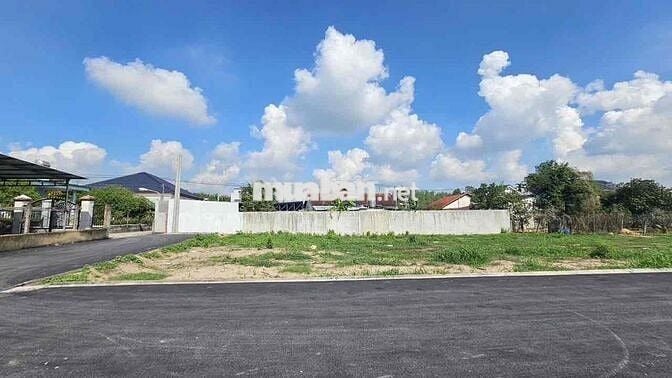 🗣️CHỦ NGỘP CẦN BÁN GẤP ĐẤT KHU VỰC TÂN TRIỀU