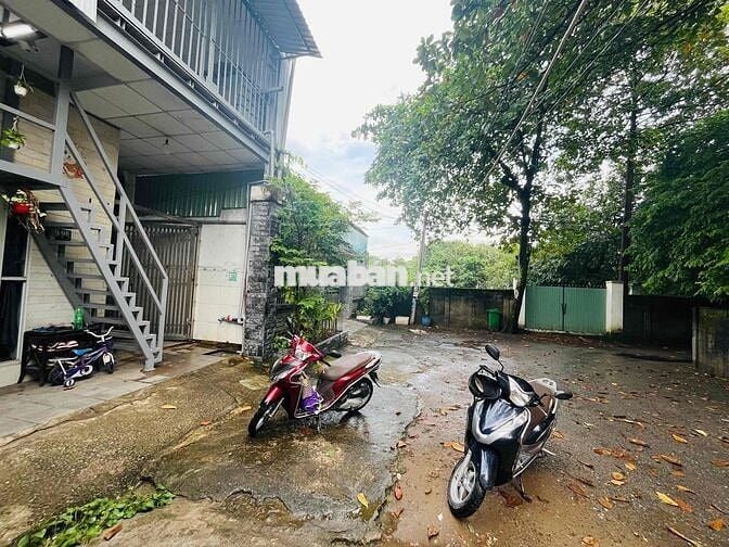 DT 157m2 Tc 100% ngay ngã ba Cây Điệp