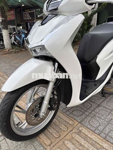 Honda SH 125 2024 Trắng