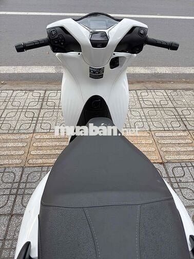 Honda SH 125 2024 Trắng
