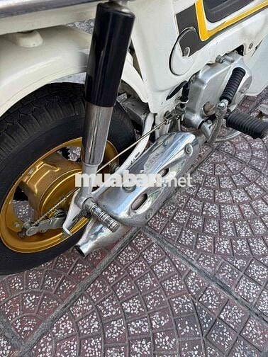 Honda Chaly 81 50cc Trắng 1981