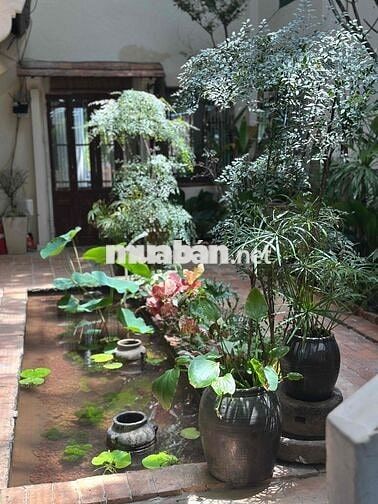 TUYỂN DỤNG BẾP NHÀ HÀNG THỊ TẤM