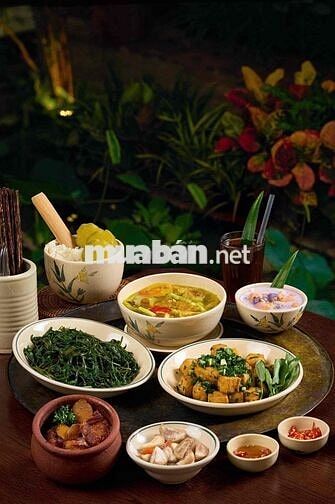 TUYỂN DỤNG BẾP NHÀ HÀNG THỊ TẤM