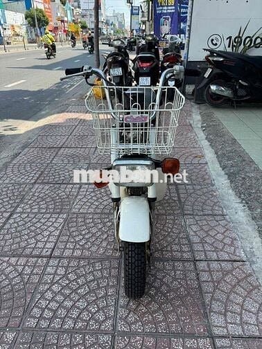 Honda Chaly 81 50cc Trắng 1981