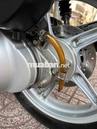 Honda SH 150i 2010 Nâu Ý