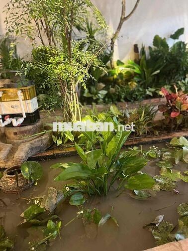 TUYỂN DỤNG BẾP NHÀ HÀNG THỊ TẤM
