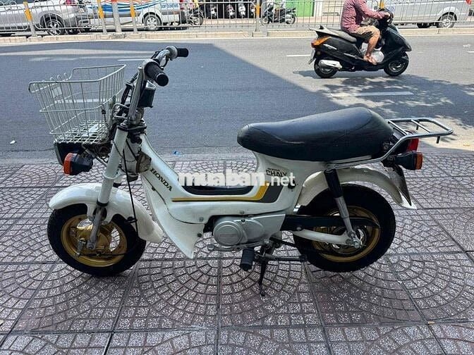 Honda Chaly 81 50cc Trắng 1981