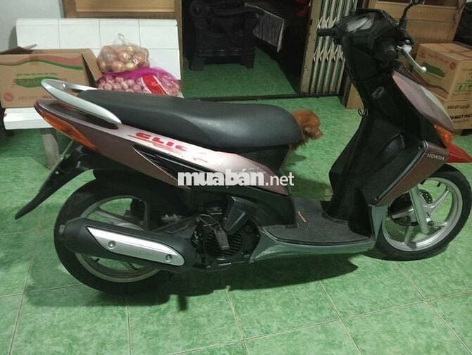 Honda Click Hồng, Đỏ Cả nam và nữ