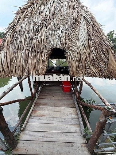 TUYỂN NHÂN VIÊN NHÀ HÀNG
