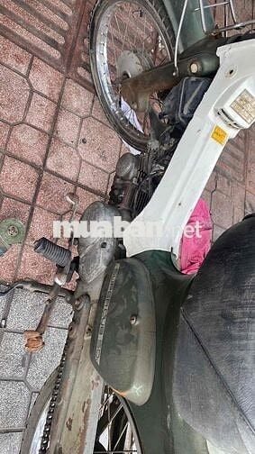 Honda Super Cub 50 Xanh rêu Cổ điển
