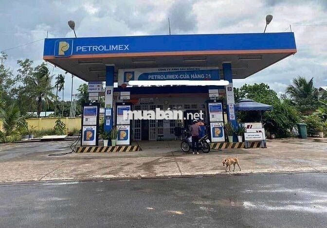 Đất tôi bán chính chủ giá ngộp do kẹt tiền ,cần liên hệ tôi