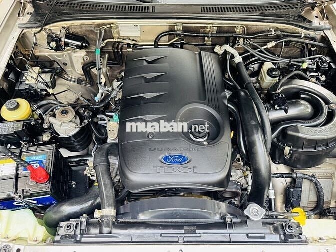Ford Everest Limited 2009 Dầu Tự động Vàng cát