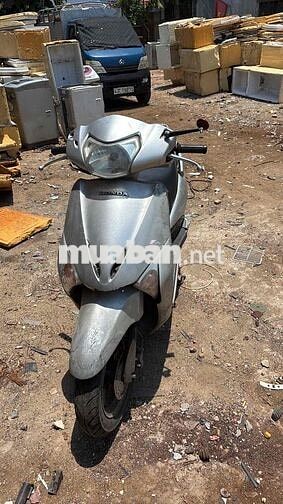 Honda Lead 2009 Bạc