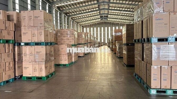 CHO THUÊ KHO XƯỞNG 25.998M² TRONG KCN LONG HẬU 