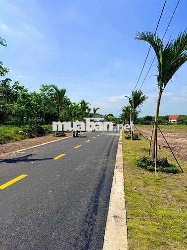 🔥 CHỈ 545 TRIỆU – SỞ HỮU NGAY ĐẤT TRUNG TÂM MINH THẠNH