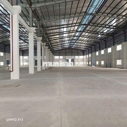 CHO THUÊ KHO XƯỞNG 5200M2 CCN BẾN LỨC – LONG AN 
