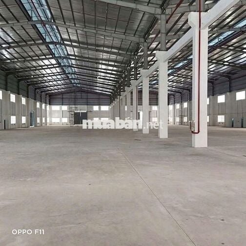CHO THUÊ KHO XƯỞNG 5200M2 CCN BẾN LỨC – LONG AN 