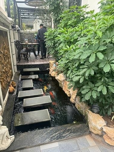 HOT ! Căn Liền kề Sao Biển, Vị trí đẹp, đang ở. Giá 15,5 tỷ có TL