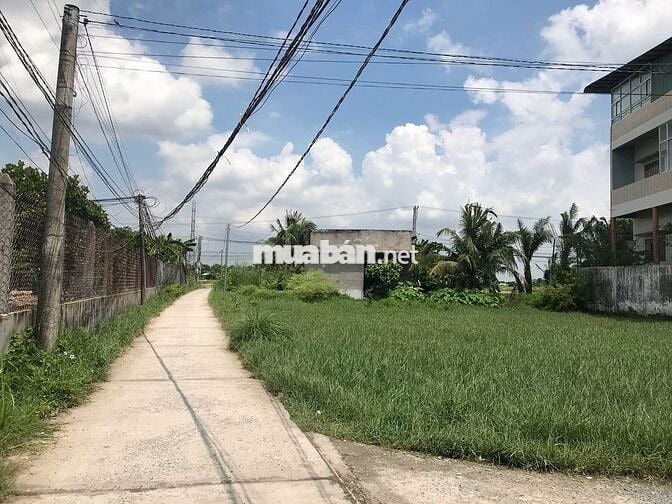 Chính chủ cần bán lô đất thổ cư 100% 259,3m2, Mỹ Bình, Tân Trụ Long An