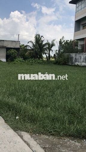 Chính chủ cần bán lô đất thổ cư 100% 259,3m2, Mỹ Bình, Tân Trụ Long An