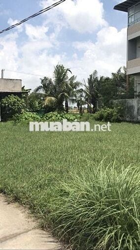 Chính chủ cần bán lô đất thổ cư 100% 259,3m2, Mỹ Bình, Tân Trụ Long An