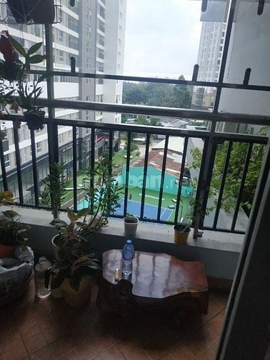🛑 CHÍNH CHỦ BÁN CĂN HỘ LẠC LONG QUÂN – 45m²  – SỔ HỒNG SẴN – GIÁ