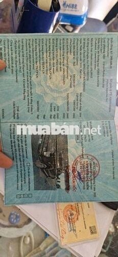 Ford Ranger 2024 Bán tải 5 chỗ màu Đỏ