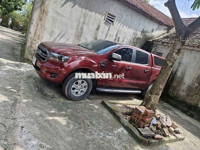 Ford Ranger 2024 Bán tải 5 chỗ màu Đỏ