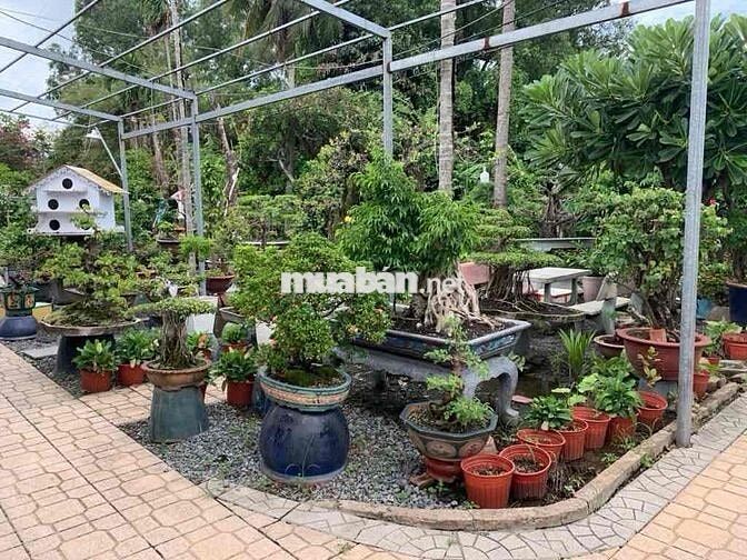 🏆 LÔ ĐẤT GÓC 2 MT HẺM VƯỜN LÀI – AN PHÚ ĐÔNG, Q12 – 344M² – CHỈ 17.8
