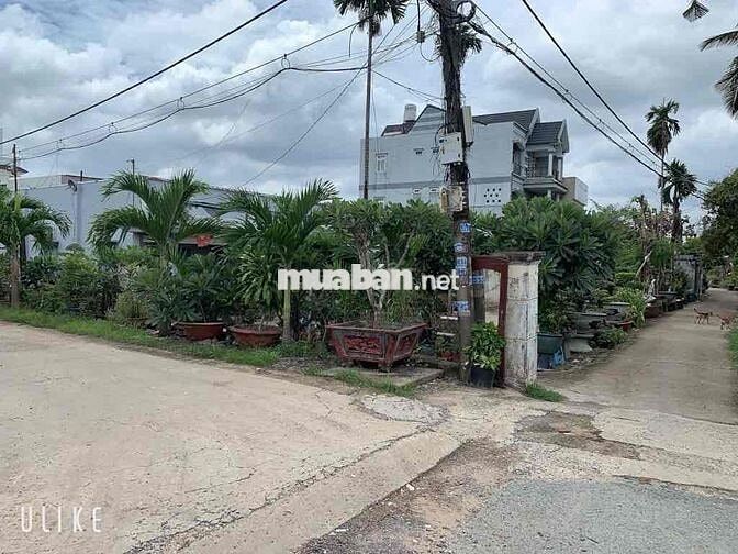 🏆 LÔ ĐẤT GÓC 2 MT HẺM VƯỜN LÀI – AN PHÚ ĐÔNG, Q12 – 344M² – CHỈ 17.8