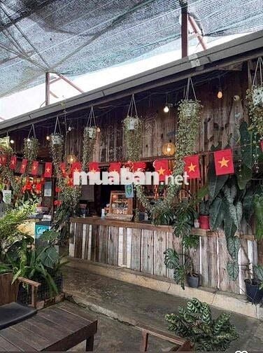 🏡 CHO THUÊ MẶT BẰNG TRẦN QUANG DIỆU – GẦN DINH 1, ĐÀ LẠT  📍 Vị trí đẹp