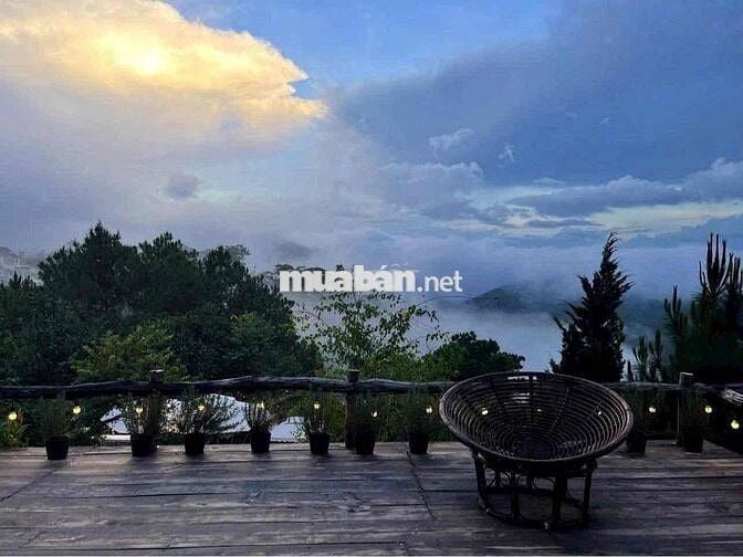 🏡 CHO THUÊ MẶT BẰNG TRẦN QUANG DIỆU – GẦN DINH 1, ĐÀ LẠT  📍 Vị trí đẹp