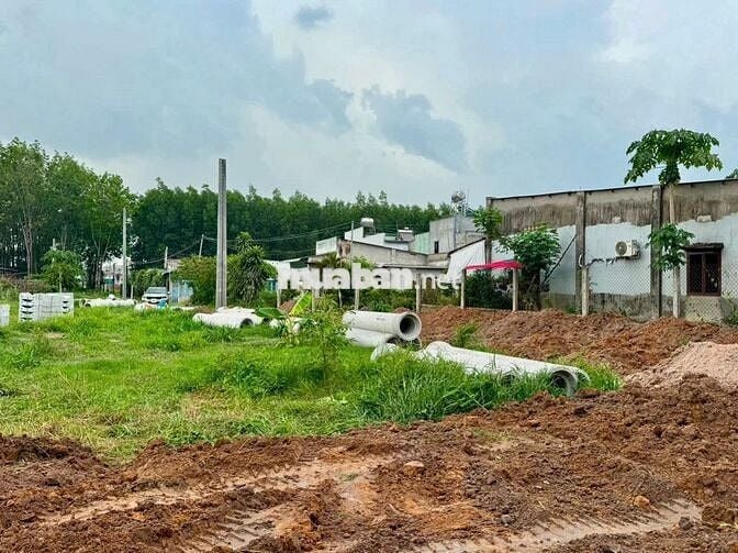 ĐẤT NỀN CÂY QUÉO PHƯỜNG TÂN CHIỀU