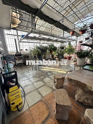 Tòa Nhà 10m x 25m - 5 Tầng Thang Máy Mặt Tiền Đường Hiệp Thành 06