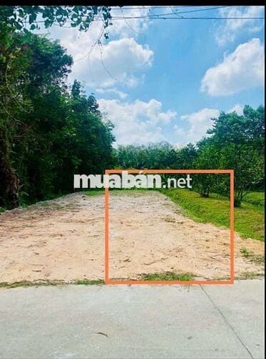 Đất nền định cư An Điền diện tích lớn