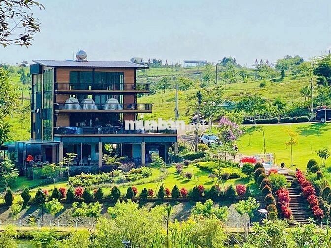 🌿BÁN ĐẤT NGHỈ DƯỠNG VIEW HỒ BẢO LỘC