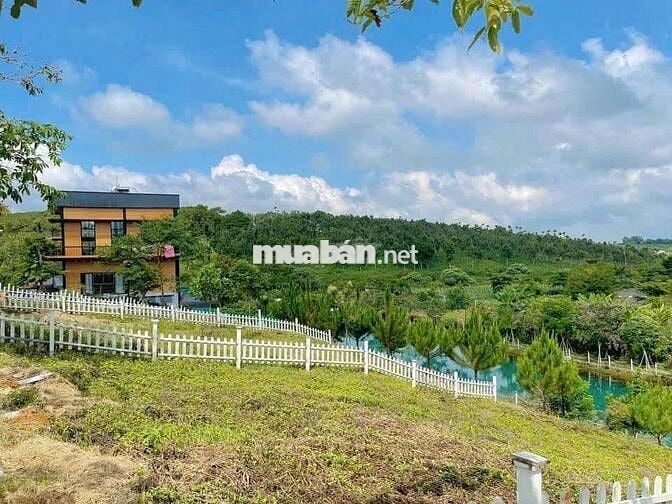 🌿BÁN ĐẤT NGHỈ DƯỠNG VIEW HỒ BẢO LỘC