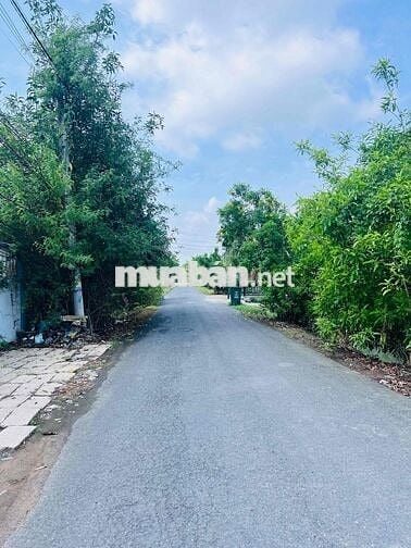 hơn 400m2 đất vườn ngay trung tâm p9, gần chợ trường học, sẵn huê lợi